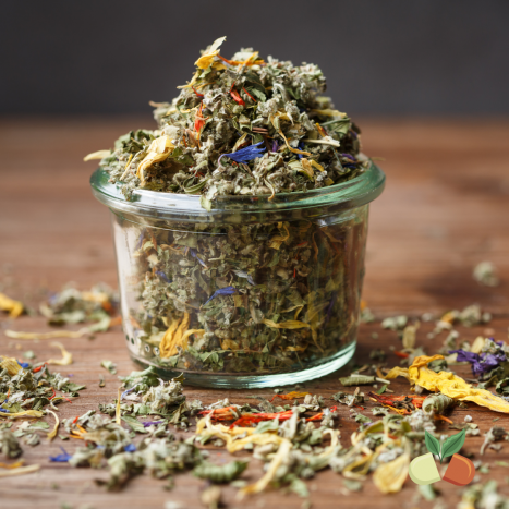 Czym są NOOTROPIKI (nootropy) i jakie mają znaczenie w fitoterapii?