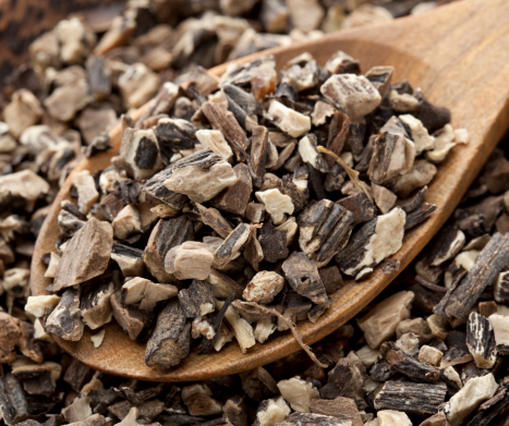 ŻYWOKOST LEKARSKI- właściwości i zastosowanie. Leksykon ziół