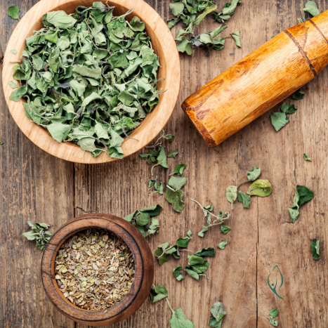 MAJERANEK-  nie tylko przyprawa. Poznaj jego właściwości. Leksykon ziół